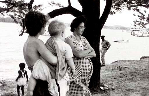 ROBERT FRANK