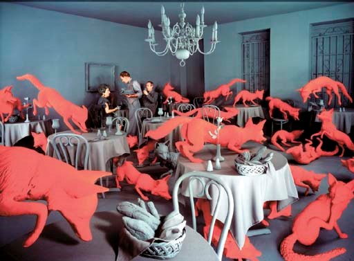 SANDY SKOGLUND