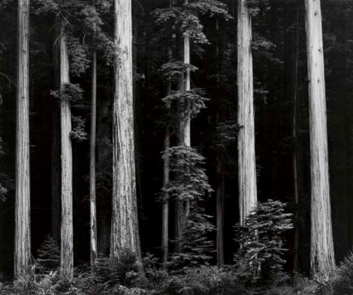 ANSEL ADAMS