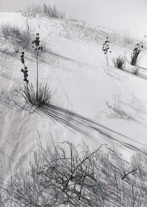ANSEL ADAMS