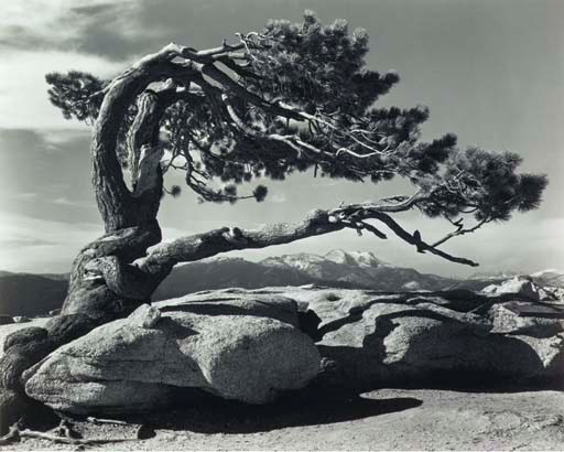 ANSEL ADAMS