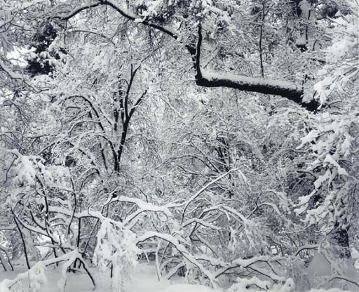 ANSEL ADAMS