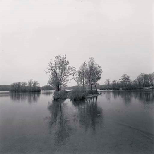 HARRY CALLAHAN