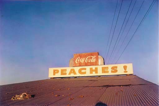WILLIAM EGGLESTON