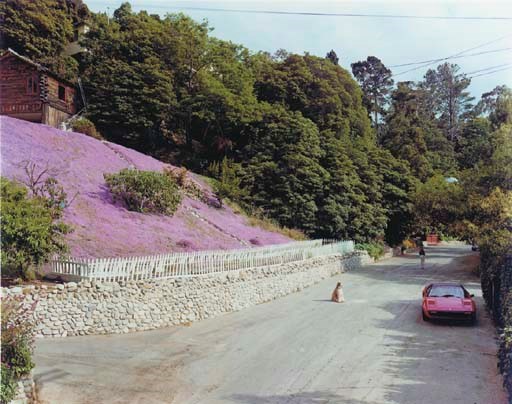 JOEL STERNFELD (BORN 1944)