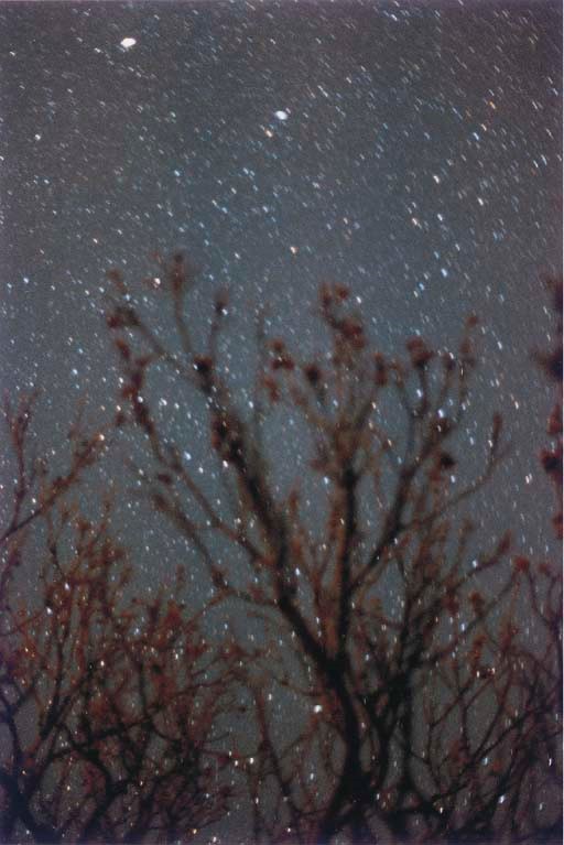 WOLFGANG TILLMANS