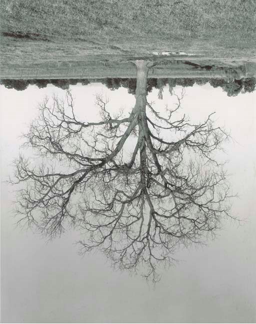 RODNEY GRAHAM (BORN 1949)
