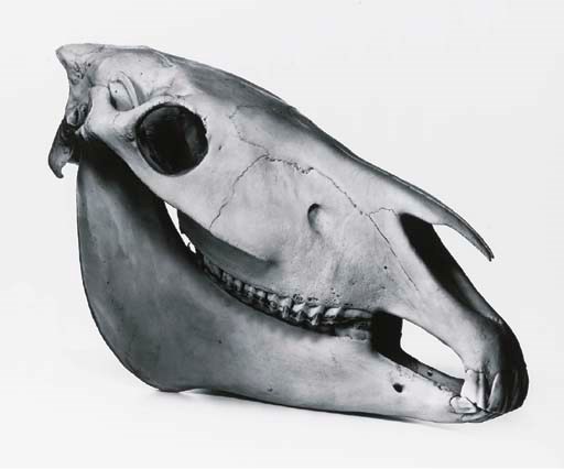 IRVING PENN