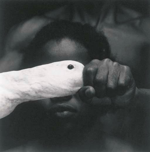 MARIO CREVO NETO (BORN 1947)