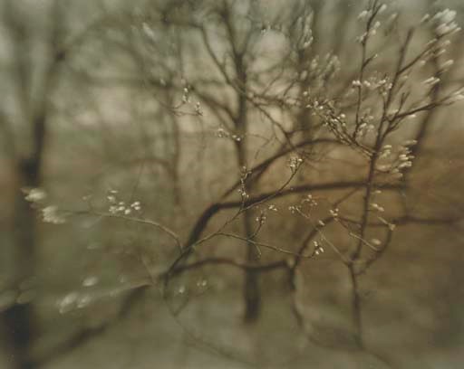 JOSEF SUDEK