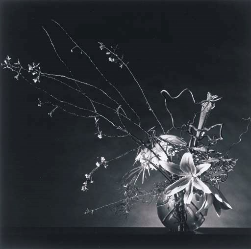 ROBERT MAPPLETHORPE