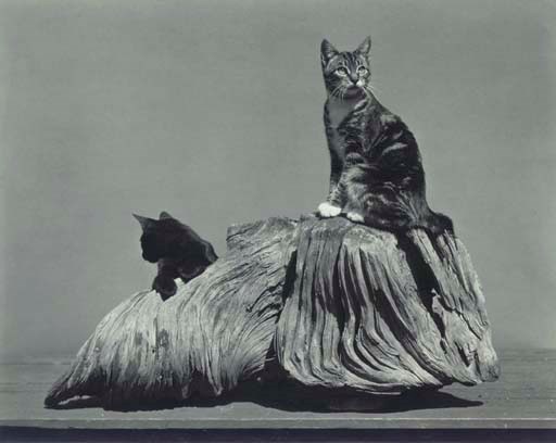 EDWARD WESTON