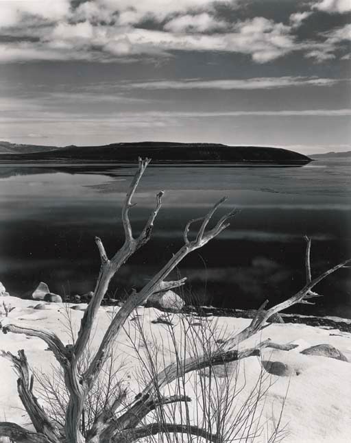 BRETT WESTON