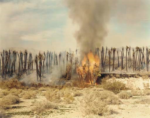RICHARD MISRACH
