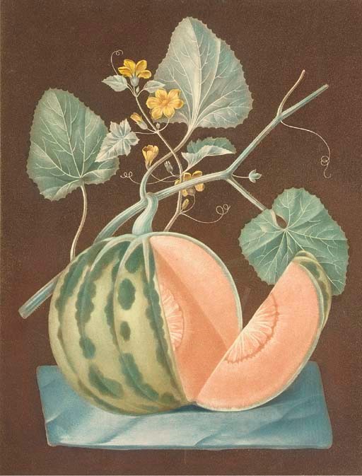 George Brookshaw (1751-1823)