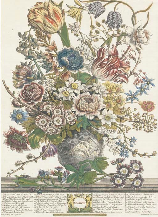 After Pieter Casteels