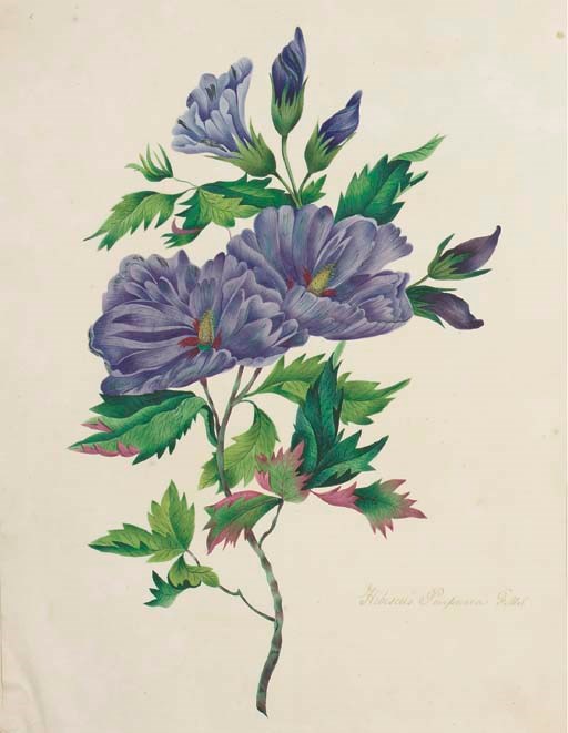 STANTON, F.M., artist. 'Specimens of Oriental Tinting'. An Album of 20 original botanical watercolour drawings. [N.p.: c.1830]. 2° (392 x 304mm, mounted to 441 x 360mm). 20 drawings in watercolour and bodycolour on paper depicting 19 flowers (Amaryllis Formosissima repeated), all but one with caption in gold ink, most signed 'Tinted by F.M. Stanton' or initialed 'F.M.S.', manuscript list of the flowers (including 4 not present in the album) tipped to rear pastedown with watermark 1828. English half green calf, green calf title label tooled in gilt on front cover (partly broken and crudely repaired, worn at extremities).