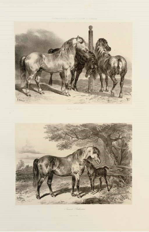 GAYOT, Eugène.  Administration des haras. Atlas statistique de la production des chevaux en France, Paris: Paul Dupont, 1850. 2° (628 x 452mm). 27 hand-coloured engraved maps and 31 lithographed plates. (Maps lightly browned, occasional light marginal soiling.) Contemporary half morocco, top edges gilt, others uncut (tail of spine repaired, rather rubbed). Provenance: Monsieur le Comte de Franqueville (given by him to the Athenaeum Library, 3-page autograph letter by de Franqueville bound-in at beginning) -- Athenaeum Library (bookplate, cancelled stamps and ink shelf mark). Huth p.172.