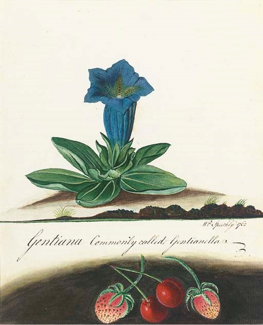 William Speechley (c.1740-1826)