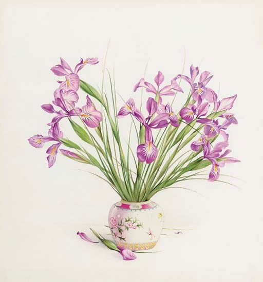 Edward Julius Detmold (1883-1957)