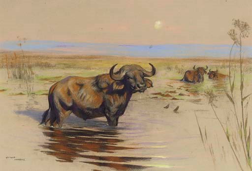 Arthur Wardle (1864-1949)