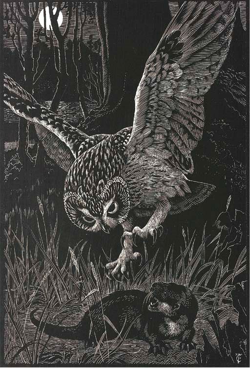 Charles Frederick Tunnicliffe, R.A. (1901-1979)
