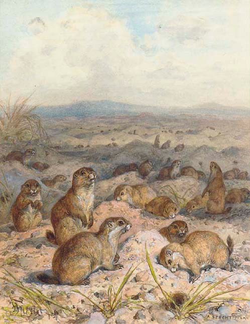 August Specht (German, b.1849)