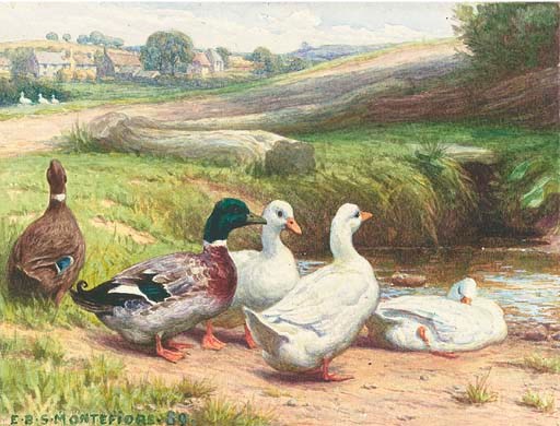 Edward Brice Stanley Montefiore (fl.1872-1909)