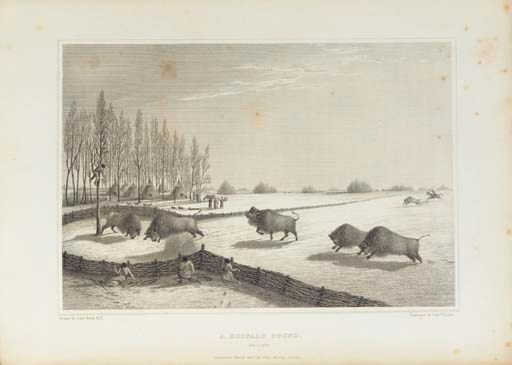 FRANKLIN, Sir John (1786-1847). Narrative of a Journey to the Shores of the Polar Sea, in the Years 1819-20, 21, and 22. London: John Murray, 1823.