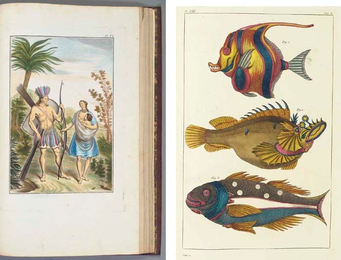BUC'HOZ, Pierre Joseph. (1731-1807). Les dons merveilleux et diversement coloriés de la nature dans le regne animal, ou collection d'animaux precieusement coloriés, pour servir à l'intelligence de l'histoire générale et oeconomique des trois regnes. Paris: chez l'auteur, 1782.