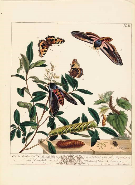 HARRIS, Moses (1731?-85?). The Aurelian. A Natural History of English Insects... Fourth edition, greatly improved. London: H.G. Bohn, 1840.
