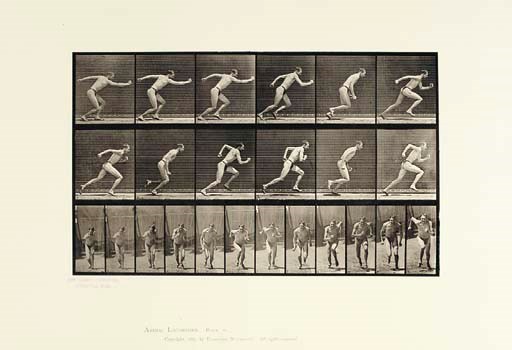 MUYBRIDGE, Eadweard  (1830-1904). Animal Locomotion. An Electro-Photographic Investigation of Consecutive Phases of Animal Movements.  Philadelphia: The University of Pennsylvania, 1887.