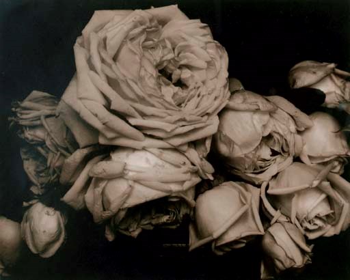EDWARD STEICHEN (1879-1973)