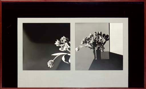 ROBERT MAPPLETHORPE (1946-1989)
