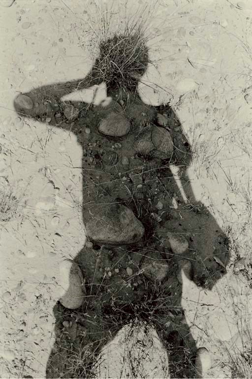 LEE FRIEDLANDER (b. 1934)