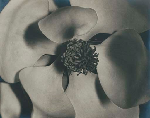 JOHAN HAGEMEYER (1884-1962)