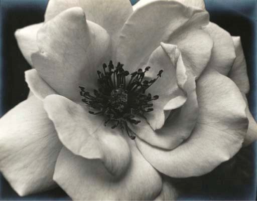 JOHAN HAGEMEYER (1884-1962)
