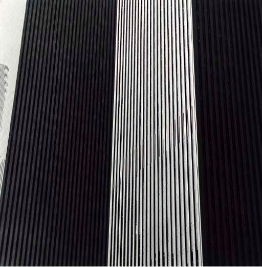 HARRY CALLAHAN (1912-1999)