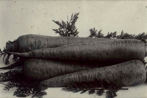 CHARLES JONES (1836-1892)