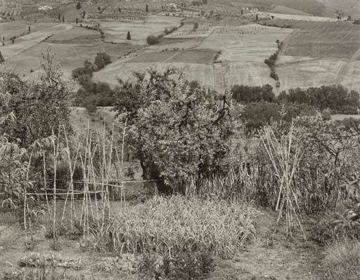 EMMET GOWIN (b. 1941)