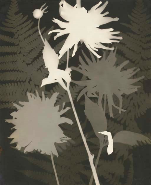 MAN RAY (1890-1976)