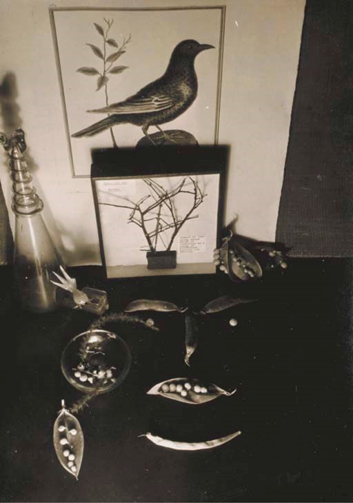 CLAUDE CAHUN (1894-1954)