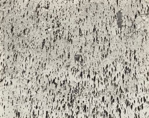 HARRY CALLAHAN (1912-1999)
