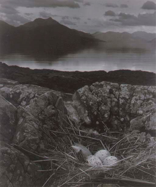 BILL BRANDT (1904-1983)