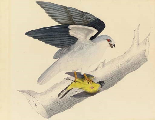 John James Audubon (1785-1851)