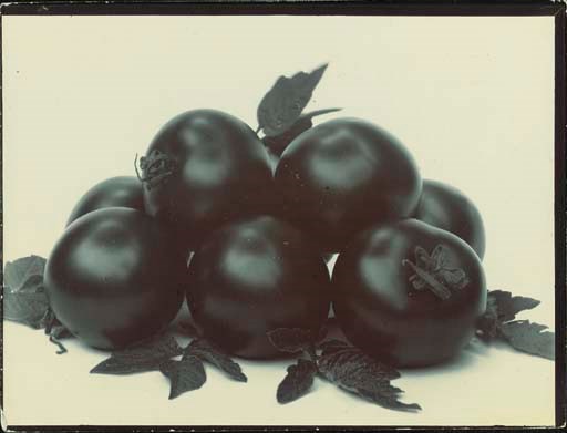 CHARLES JONES (1866-1959)
