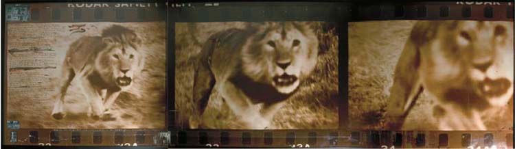 PETER BEARD (b. 1938)