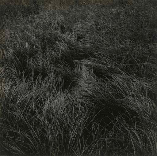 HARRY CALLAHAN (1912-1999)