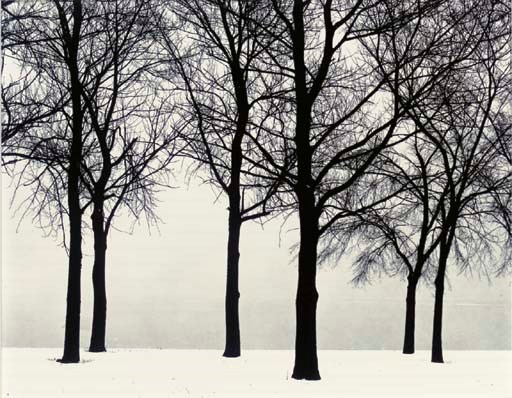 HARRY CALLAHAN (1912-1999)