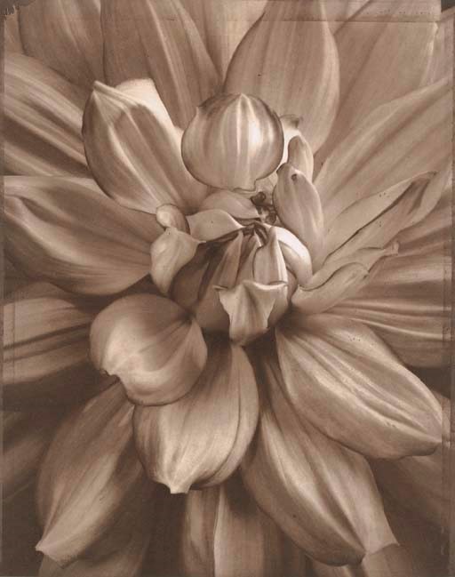 TOM BARIL (b. 1952)